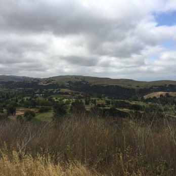 Ed R. Levin County Park - Dog Parks Near Me - Milpitas, California Ed R. Levin County Park - Dog Parks Near Me - Milpitas, California