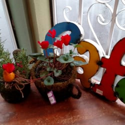 The Coffee Spigot - Flowers and rosemary from the nursery next door, art from Mexico.