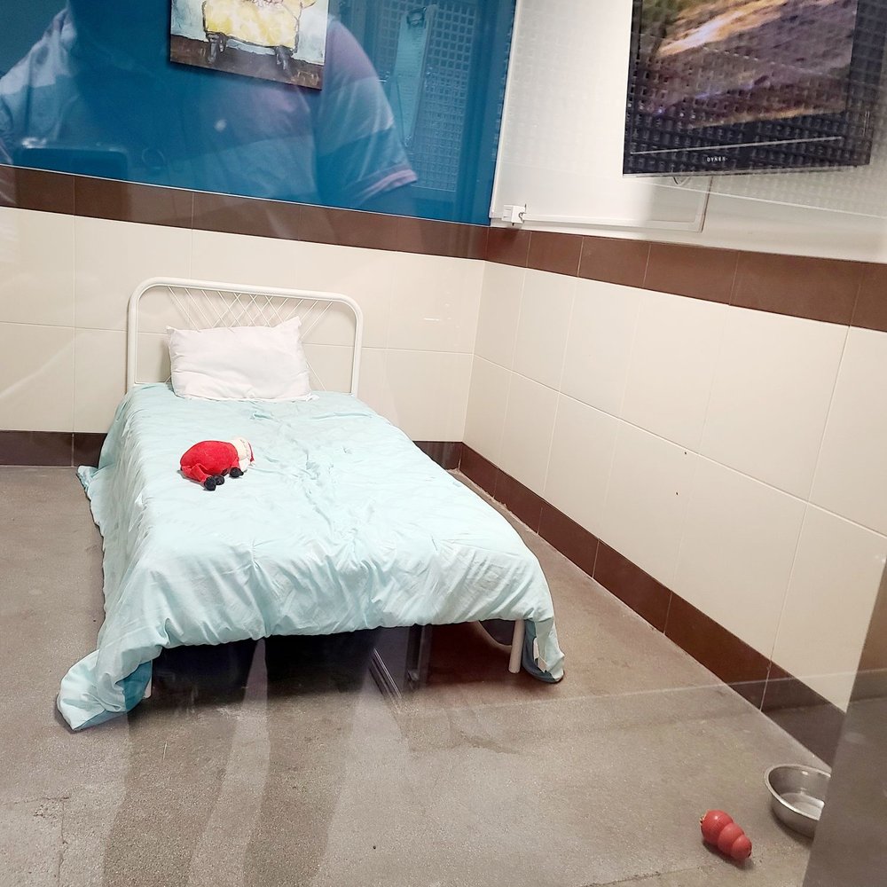 Wag Hotels - Carson - Puppy suites for on-boarding! - Pet Training Near Me - Carson, California Wag Hotels - Carson - Puppy suites for on-boarding! - Pet Training Near Me - Carson, California