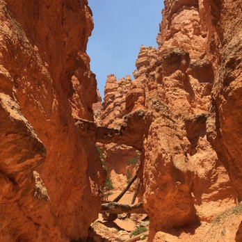 Navajo Loop - Hiking Near Me - Bryce, Utah