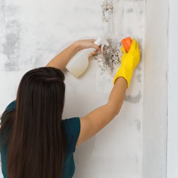 DR MOLD REMOVAL - Damage Restoration Near Me - Queens, New York DR MOLD REMOVAL - Damage Restoration Near Me - Queens, New York