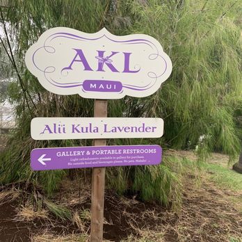 Ali'i Kula Lavender - 11/28/2022: Marquis. - Tours Near Me - Kula, Hawaii Ali'i Kula Lavender - 11/28/2022: Marquis. - Tours Near Me - Kula, Hawaii