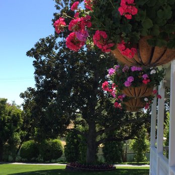 The Veranda Restaurant - Flowers in bloom. - Desserts Near Me - Fallbrook, California The Veranda Restaurant - Flowers in bloom. - Desserts Near Me - Fallbrook, California