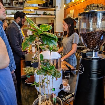 Pikolo Espresso Bar - Inside. Ordering counter. - Coffee & Tea Near Me - Montreal, Quebec Pikolo Espresso Bar - Inside. Ordering counter. - Coffee & Tea Near Me - Montreal, Quebec