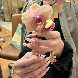 Lily Nails & Spa