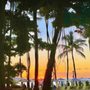 Photo of Aloha Beach Services