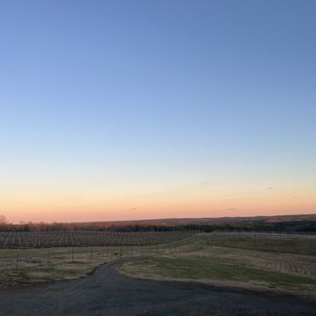 Blenheim Vineyards - View - Wineries Near Me - Charlottesville, Virginia