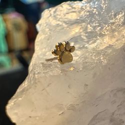 Homeward Tattoo and Body Piercing - 14k gold Paw print threadless jewelry top
#piercings #helixpiercing #earpiercing #goldjewelry