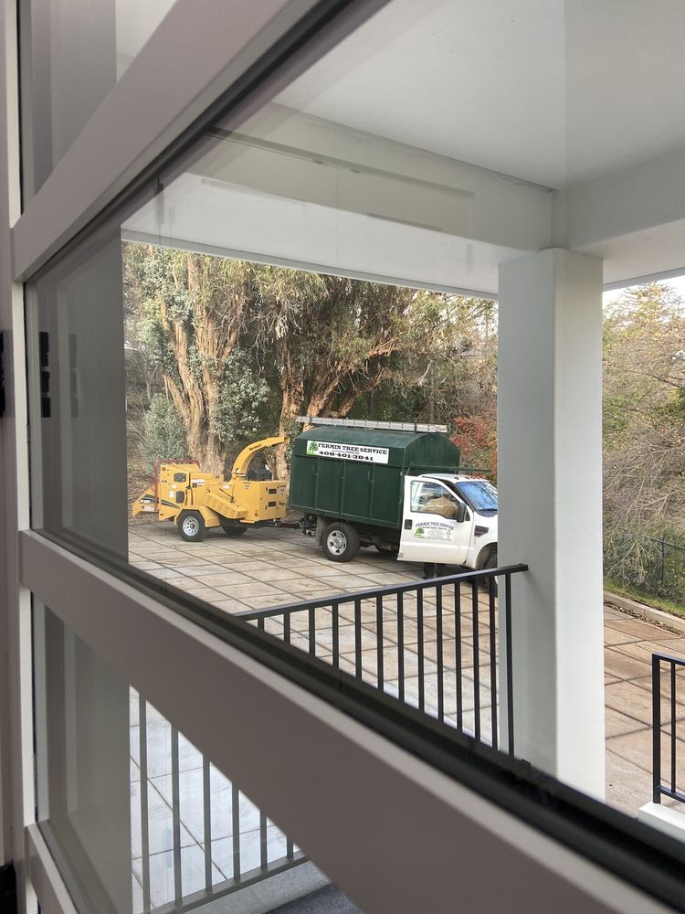 Universal Tree Services - tree service in San Jose, CA