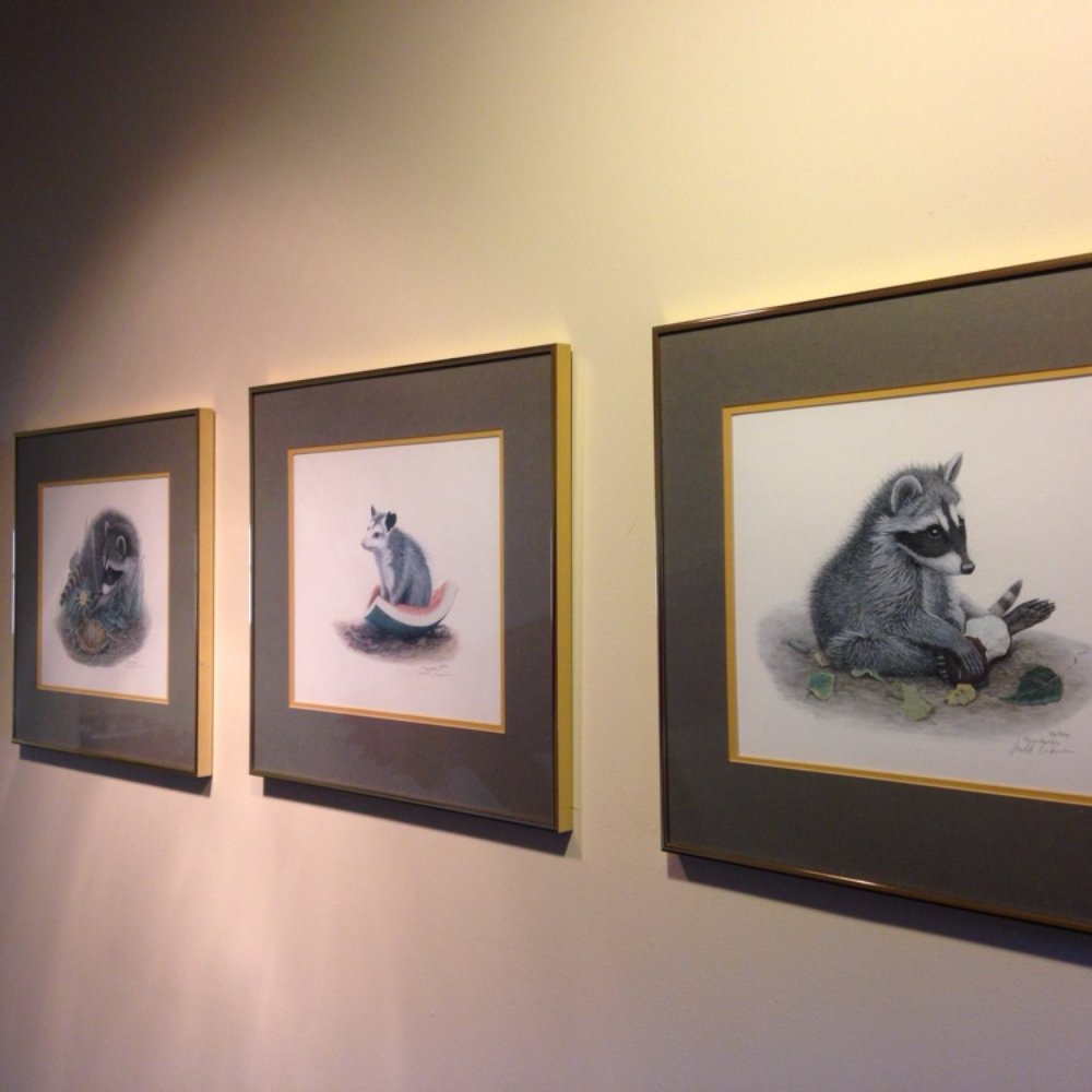 Discovery Place Nature - I love these raccoon and opossum prints. They're adorable. - Museums Near Me - Charlotte, North Carolina
