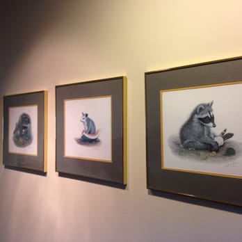Discovery Place Nature - I love these raccoon and opossum prints. They're adorable. - Museums Near Me - Charlotte, North Carolina