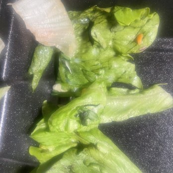 Cotton Patch Cafe - Spoilt lettuce evidences by red spot and darker spots on the green area - American Near Me - Mansfield, Texas Cotton Patch Cafe - Spoilt lettuce evidences by red spot and darker spots on the green area - American Near Me - Mansfield, Texas