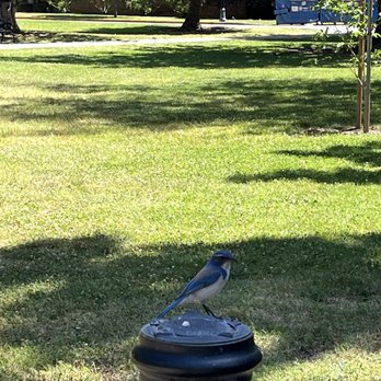 Capitol Park - Parks Near Me - Sacramento, California Capitol Park - Parks Near Me - Sacramento, California