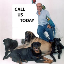 Dog Training by Bob Maida