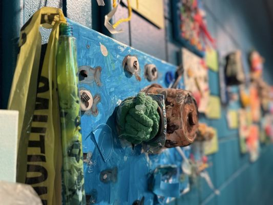 The Florida Aquarium by null