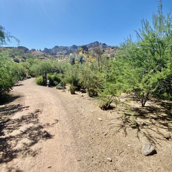 Boyce Thompson Arboretum - Botanical Gardens Near Me - Superior, Arizona Boyce Thompson Arboretum - Botanical Gardens Near Me - Superior, Arizona