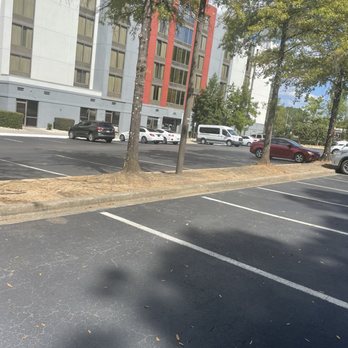 Hyatt Place Birmingham/Hoover - Poor grounds - no grass - just dirt in islands, very dirty. - Hotels Near Me - Hoover, Alabama Hyatt Place Birmingham/Hoover - Poor grounds - no grass - just dirt in islands, very dirty. - Hotels Near Me - Hoover, Alabama