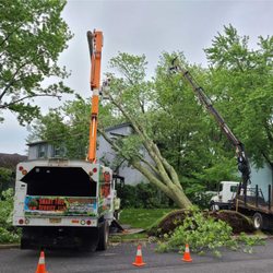 Smart Tree Service - Over 25 Years Experience!
SMART TREE SERVICE IN NEW JERSEY