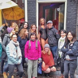 FreeDam Tours