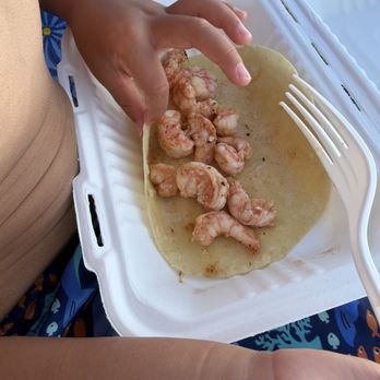 Crispy Fish Tacos - Double portion of shrimp in shrimp taco. Small pieces of shrimp. 4 yr olds hand for size reference. - Tacos Near Me - La Jolla, California Crispy Fish Tacos - Double portion of shrimp in shrimp taco. Small pieces of shrimp. 4 yr olds hand for size reference. - Tacos Near Me - La Jolla, California