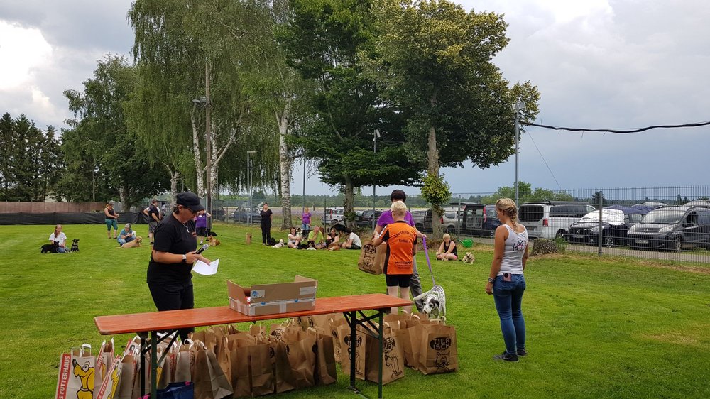 Sporthundeverein Kirrlach Request Consultation Pet Training St Leonerstrasse 66 Waghausel Kirrlach Baden Wurttemberg Germany Phone Number Yelp