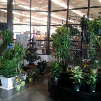 Keesler AFB Commissary - More fresh plants at entrance - Grocery Near Me - Biloxi, Mississippi Keesler AFB Commissary - More fresh plants at entrance - Grocery Near Me - Biloxi, Mississippi
