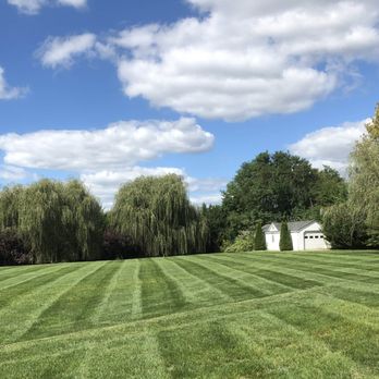 precision property management - Stripes from lawn mowing service - Lawn Services Near Me