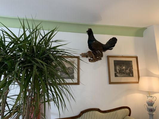 Schlosswirt zu Anif - Biedermeier-Hotel & Restaurant | Tagungshotel & Hochzeitsfeiern by null