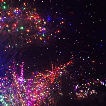 Denver Zoo Lights - Get ouuuuuttttt the colors were amazing. - Festivals Near Me - Denver, Colorado