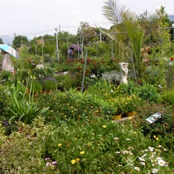Tirand Jardinerie La Main Verte