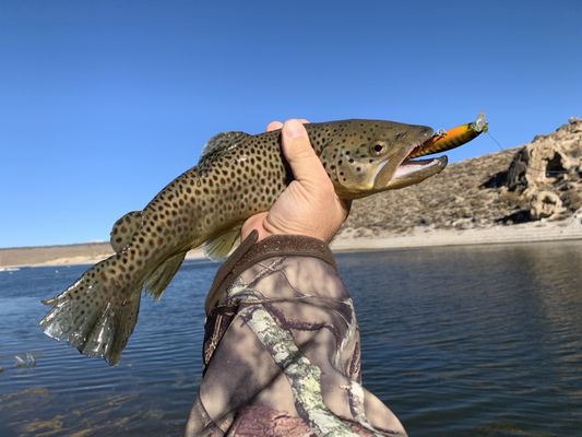 CROWLEY LAKE FISH CAMP - 106 Photos & 32 Reviews - 1149 S Landing Rd