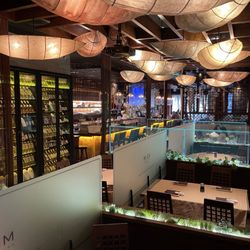MoCA Asian Bistro - Forest Hills - Totally worth the trip with friends and family.