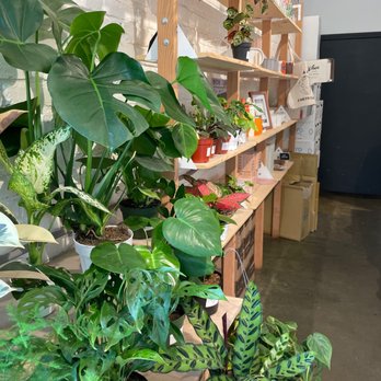 Nook Coffee Bar - Coffee & Tea Near Me - Costa Mesa, California Nook Coffee Bar - Coffee & Tea Near Me - Costa Mesa, California