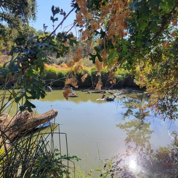 Del Meyer Park - Parks Near Me - Elk Grove, California