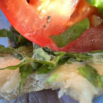 Carl's Jr - Bug in my food, why! - Fast Food Near Me - San Bernardino, California