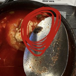 dead fly dead fly