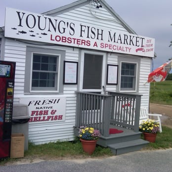 Young's Fish Market - Seafood Markets Near Me - Orleans, Massachusetts