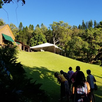 Experience Nutridge - Performing Arts Near Me - Honolulu, Hawaii Experience Nutridge - Performing Arts Near Me - Honolulu, Hawaii