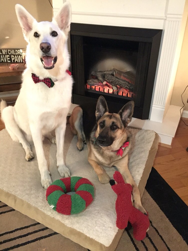 THE PUPPY SPA Updated August 2024 1008 Greenville Ave, Staunton