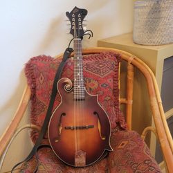 Moze Guitars - Loar 310F Mandolin