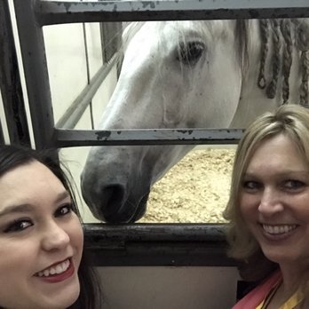 Odysseo By Cavalia - He loved us! - Festivals Near Me - Chicago, Illinois
