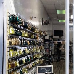 Savannah Health Source