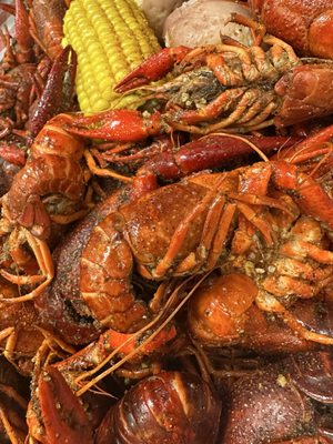 The Cajun Table by null