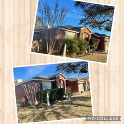 CJ's Mowing Service - Pruning and trimming