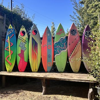 CNL Native Plant Nursery - surf boards for surf shop next door - Nurseries & Gardening Near Me - Mill Valley, California