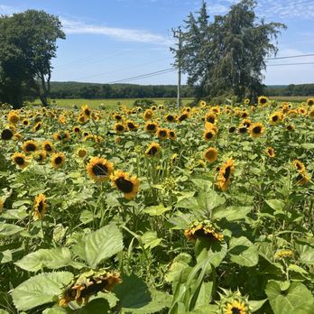 Buttonwood Farm - Ranches Near Me - Griswold, Connecticut