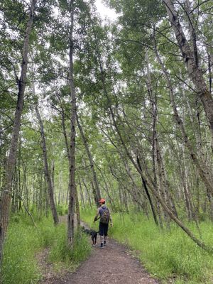 Sir Wilfrid Laurier Park by null
