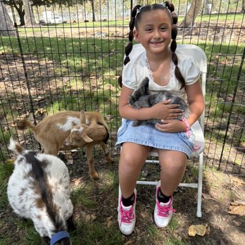 Picture Perfect Ponys - A party go-er with some of our petting zoo critters! - Petting Zoos Near Me - Fallbrook, California Picture Perfect Ponys - A party go-er with some of our petting zoo critters! - Petting Zoos Near Me - Fallbrook, California