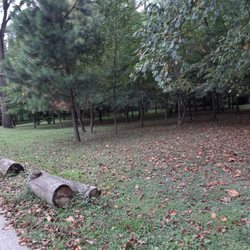 Raines Lawncare Services