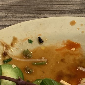 Pho Saigon - Look at - Vietnamese Near Me - Katy, Texas Pho Saigon - Look at - Vietnamese Near Me - Katy, Texas